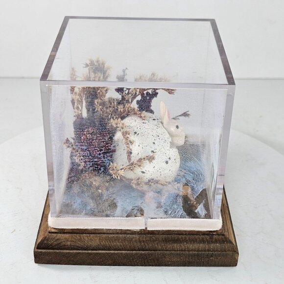 Decorative Glass Display Cube Hagen Renaker Pink Bunny Figurine Egg Dried Plants - Picture 2 of 9